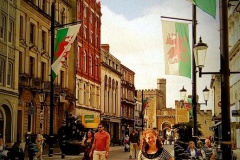 Cardiff, Wales (2015)